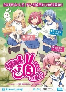 Urawa no Usagi-chan – Anime