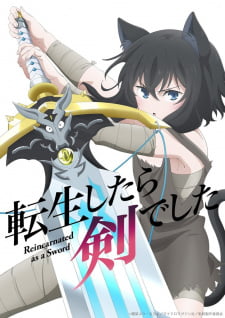 Tensei Shitara Ken Deshita – Anime